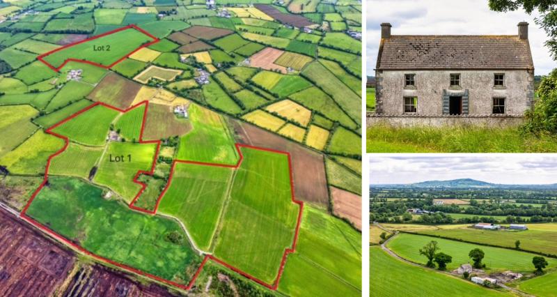 Offaly farm with 'panoramic views' going up for public auction in Tullamore