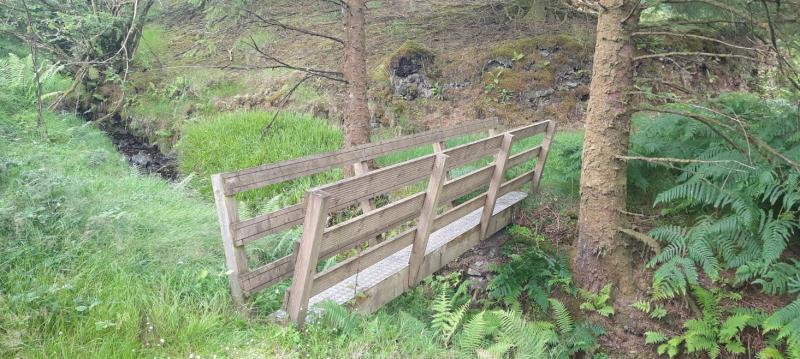 Glenafelly Slieve Blooms