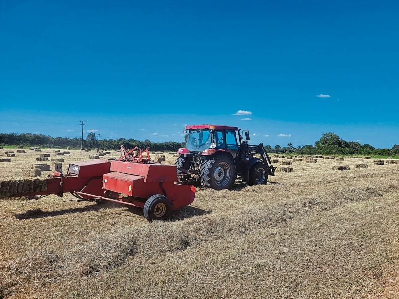 'Hip to be square' - Retro baler makes hay while sun shines in Offaly