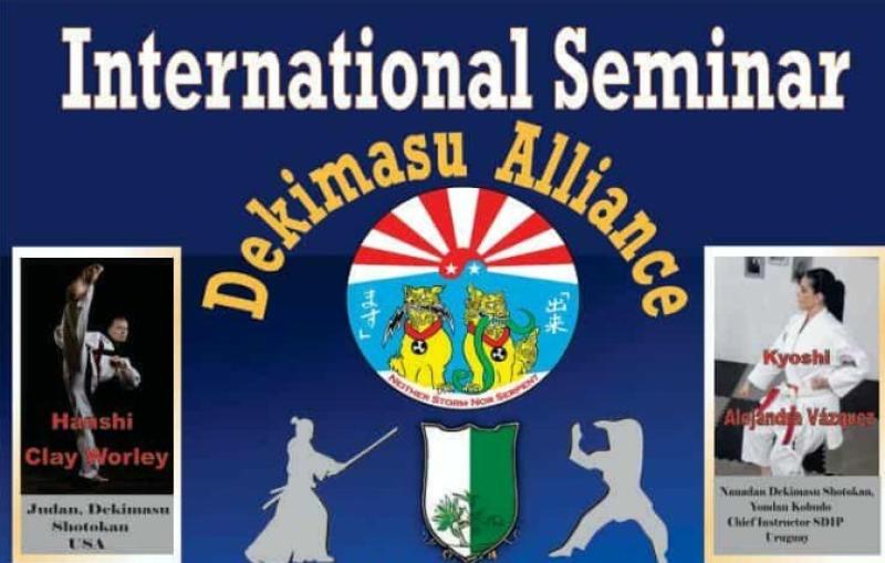 Incredible international line up of instructors for martial arts event in Tullamore