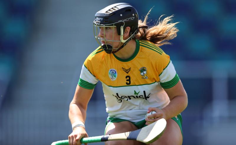Hurt from last year's semi-final defeat is driving Offaly on this year