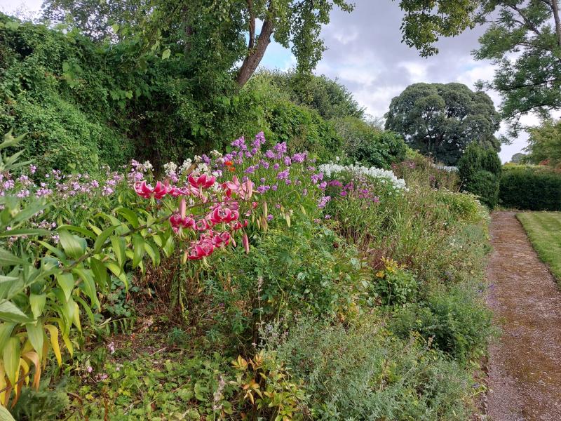 Take a guided tour of well known Offaly House & Gardens for Heritage Week