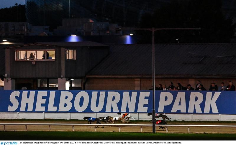 Gone to the dogs: Six Offaly winners