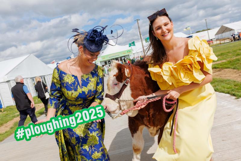 IN PICTURES: Excitement builds ahead of National Ploughing Championships in Tullamore