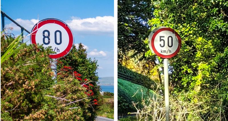 QUIZ: Can you guess the speed limits on these Offaly roads just by looking at them