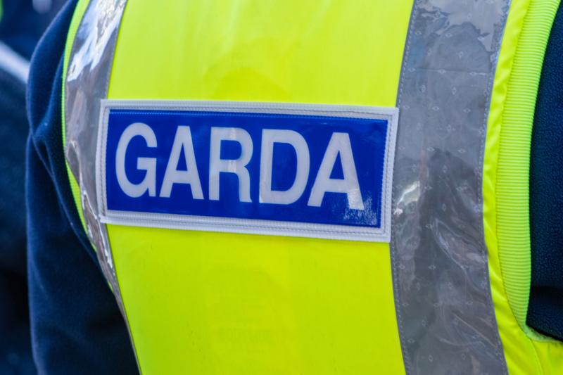 People with lurchers illegally hunting hares in Offaly