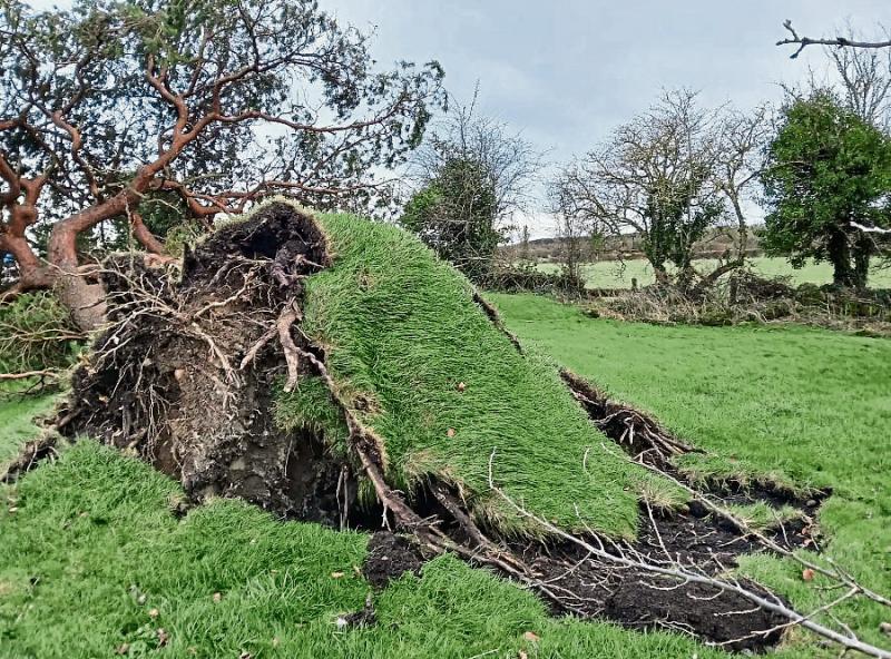 Human bones dramatically revealed in Offaly during  storm
