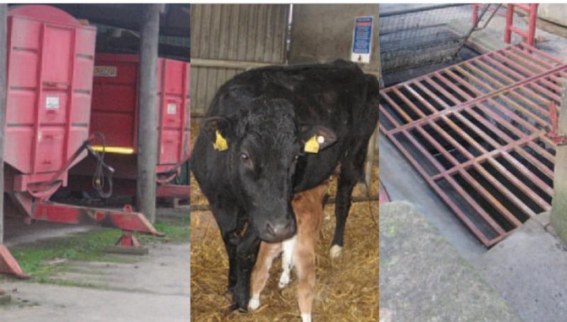 farm accidents