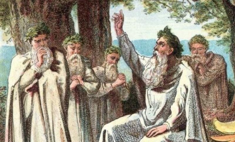 Celtic Druids