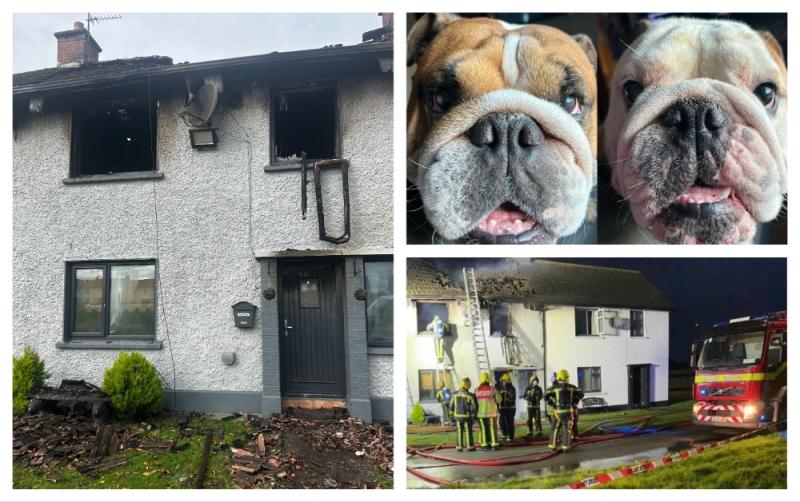 Community rally around Offaly family who tragically lost their beloved dogs in house fire