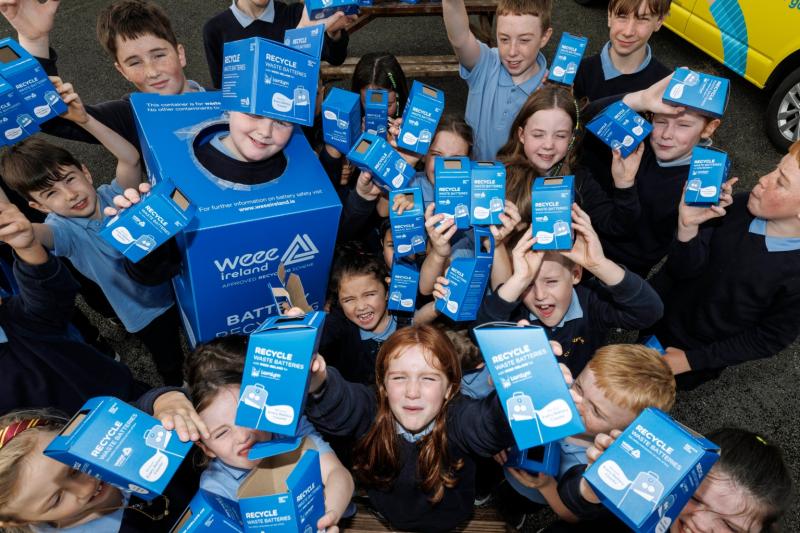 WEE batteries