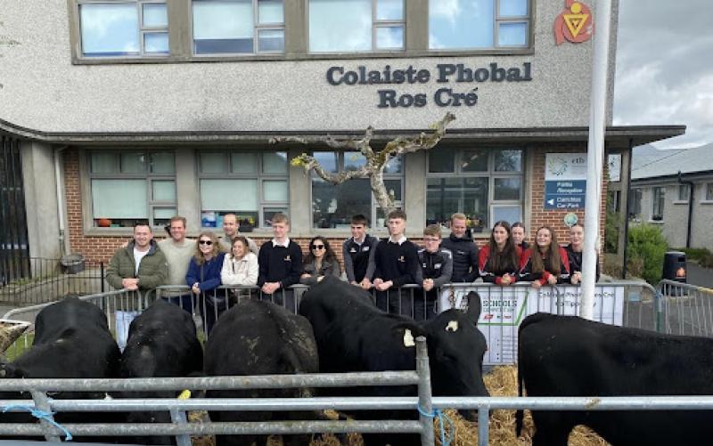 Roscrea students shine at Ploughing Championships Angus Beef Final