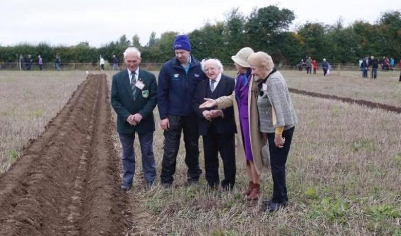 South Offaly ploughman wins gold at National Ploughing Championships