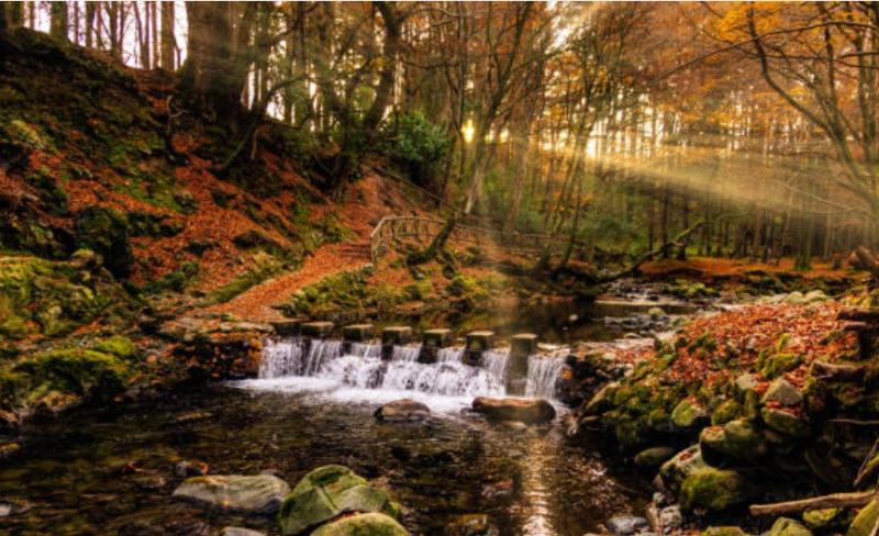 An Colun thoughts during Autumn