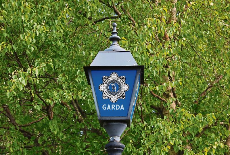 Gardai called to stand-off at Limerick farm as milk lorry is prevented from leaving