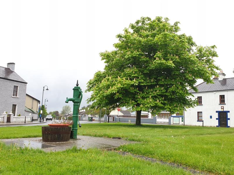 Clonbullogue village green