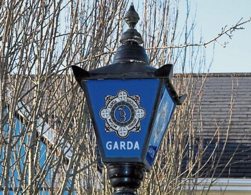 Sinn Féin expel Laois party member following arrest of partner in Garda far right probe