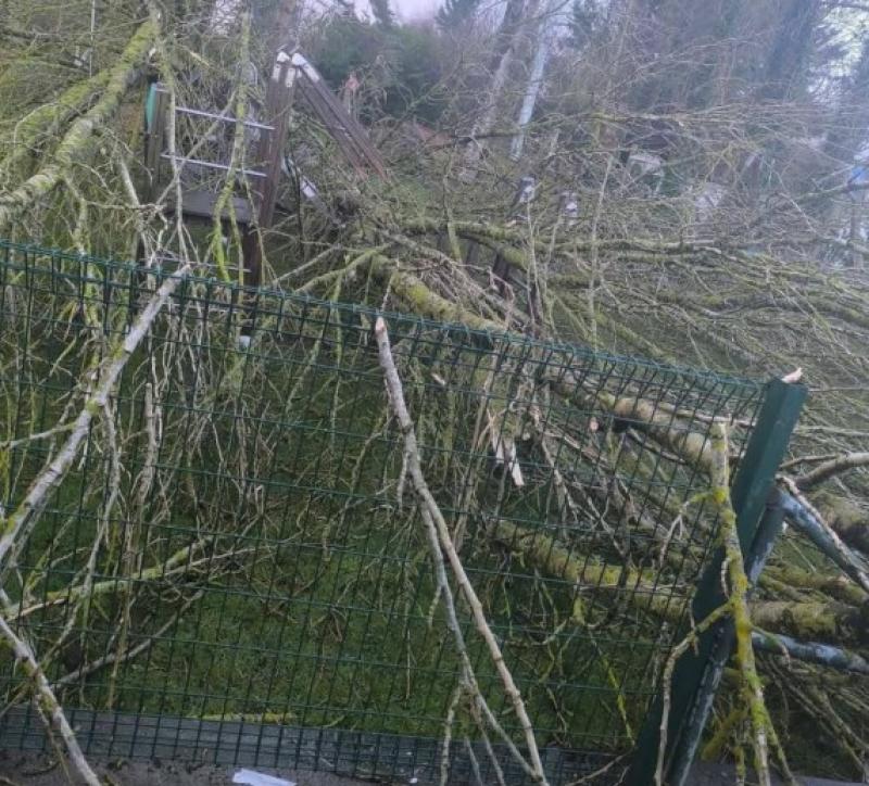 Shannonbridge playground