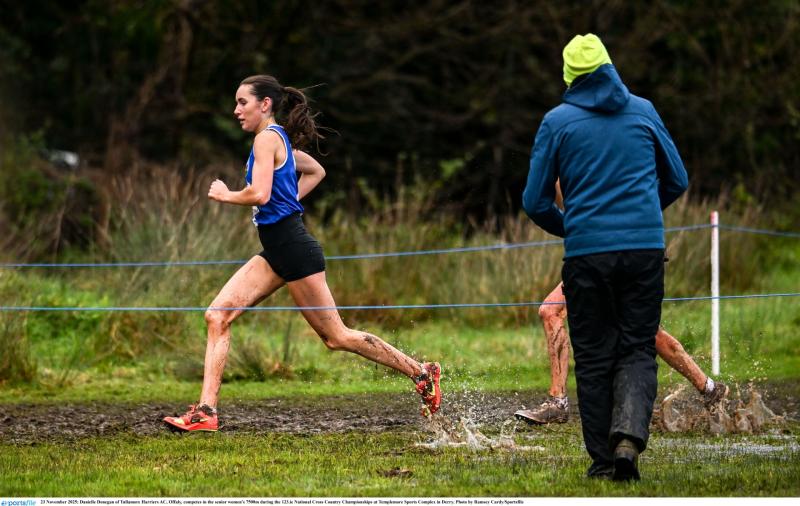 Offaly athletes selected for European Cross Country Championships