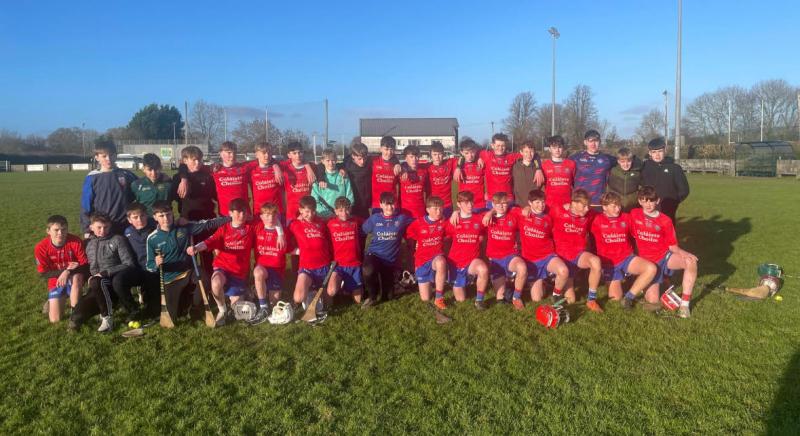 Young Offaly hurlers show promise in tournament