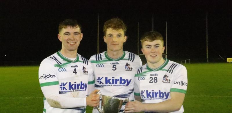 Offaly hurlers win Freshers title with University of Limerick