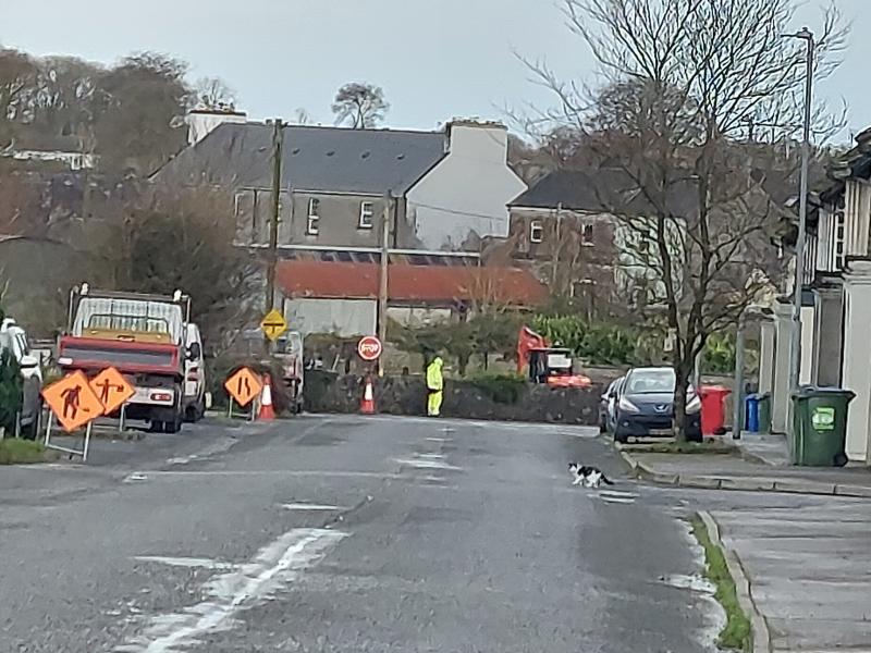 Finnoe Road Borrisokane