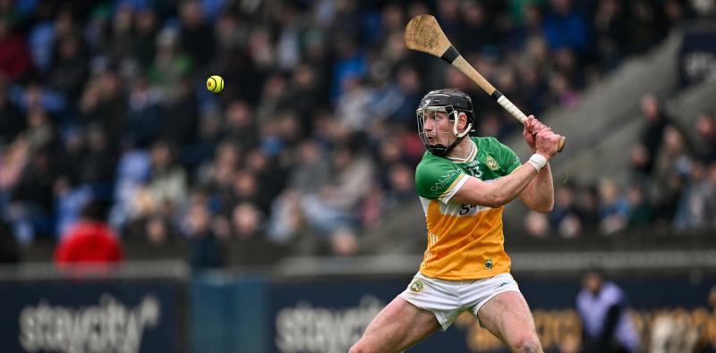Offaly hurling team named for Walsh Cup opener