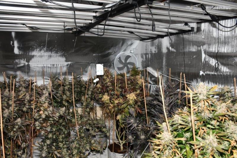 Massive drugs operation dismantled after Garda raids in Midlands on New Year's Eve