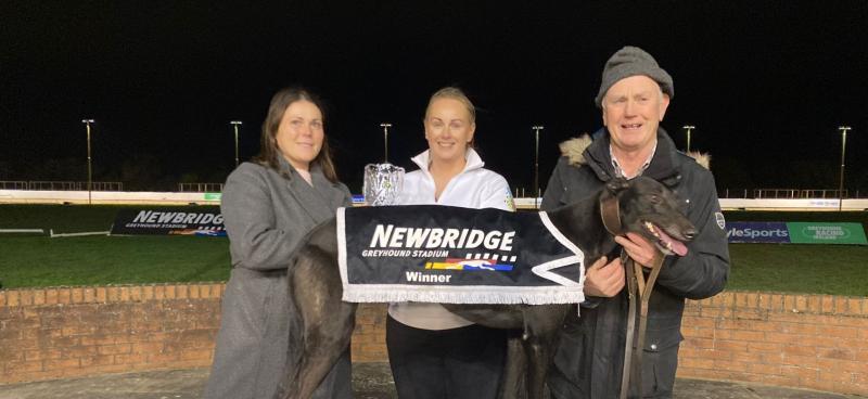 Gone to the dogs: Offaly dog of the year for 2025 named