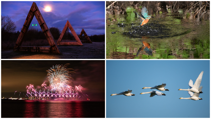 IN PICTURES: The latest spectacular photos captured by members of Tullamore Camera Club