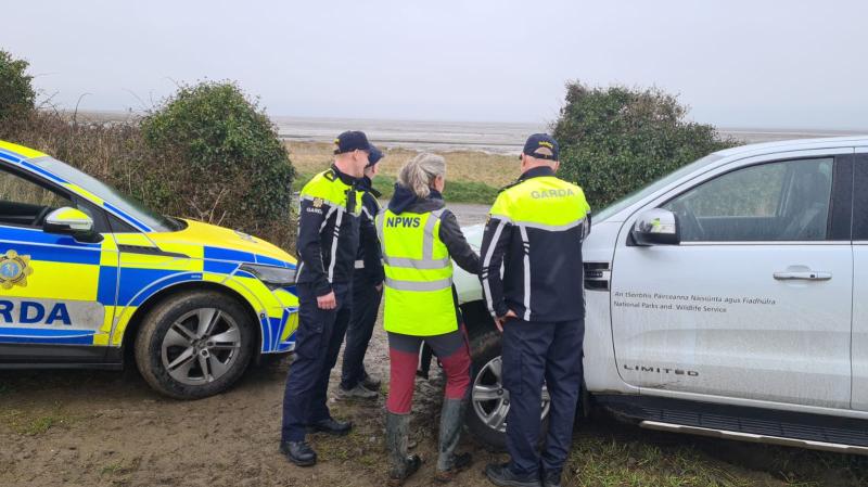 Garda&iacute; seize vehicles and equipment in Louth hare hunting crackdown