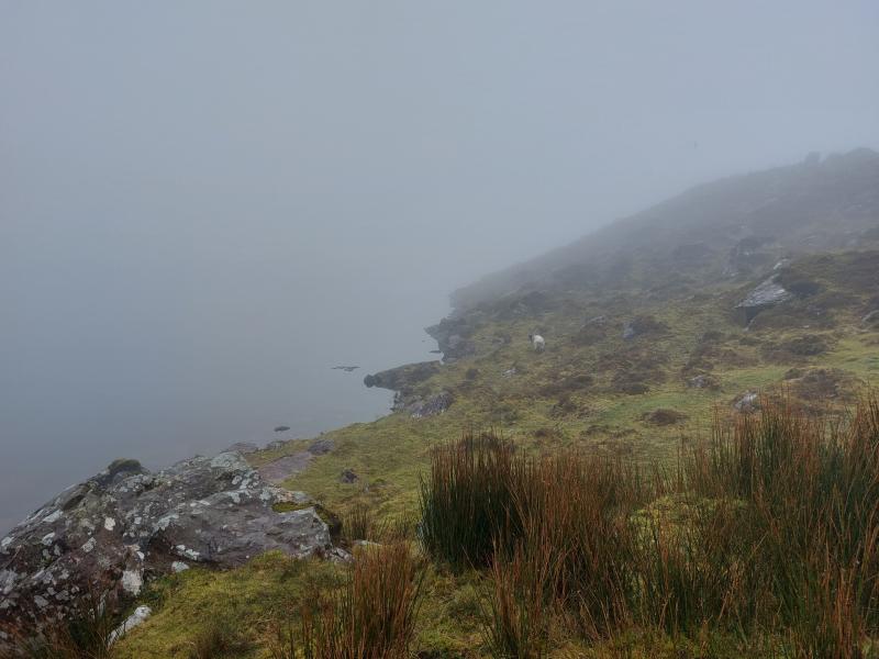 Lough Muskry Galty Mountains