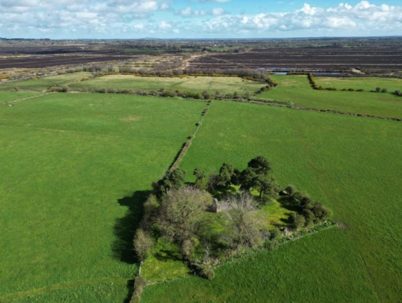 Lemanaghan monastic site