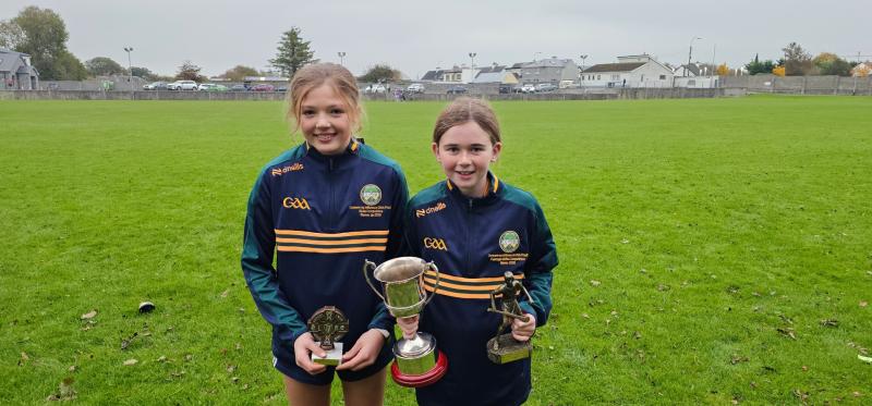 Offaly Cumann na mBunscol hurling and camogie skills competition