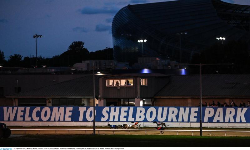 Gone to the dogs: Eight Offaly winners as Merriman wins Dublin Cup