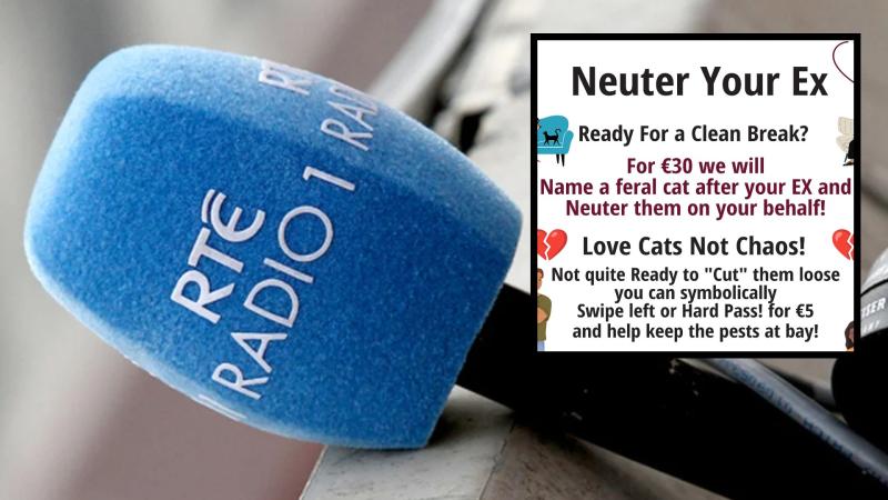 RT&Eacute; Liveline listeners in stitches over viral Valentine's 'Neuter Your Ex' charity stunt