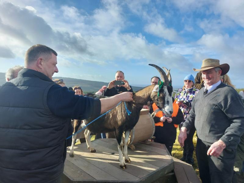 slieve bloom association goat milking 2026