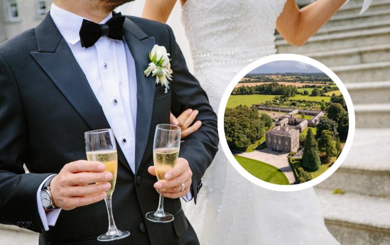 Owners of historic house near Offaly town seek to build huge 'wedding village' venue