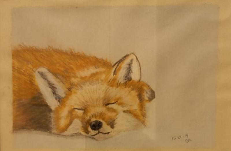 A painting of a fox by Lily Akgonul