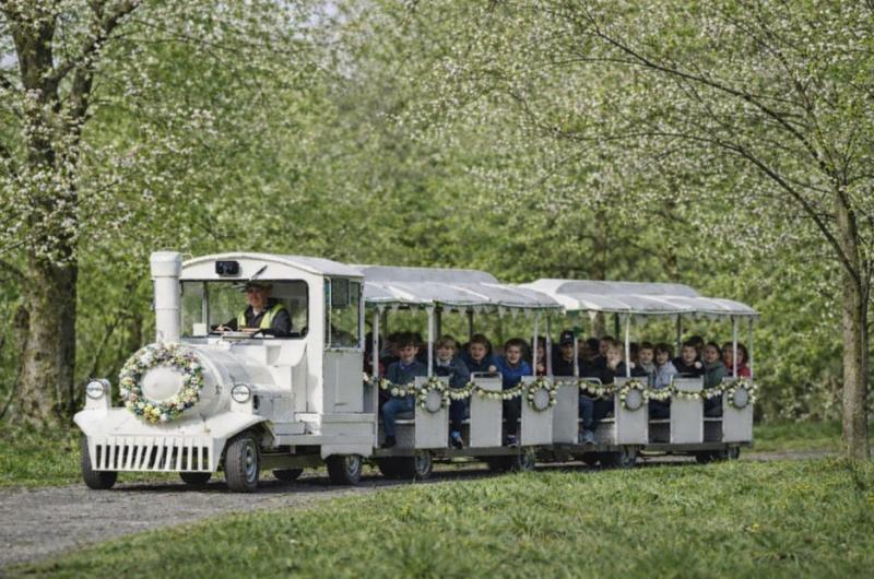 Enjoy a magical seasonal train experience in Offaly this Easter