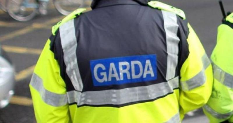 Laois Offaly Garda&iacute; investigate theft of distinctive boat