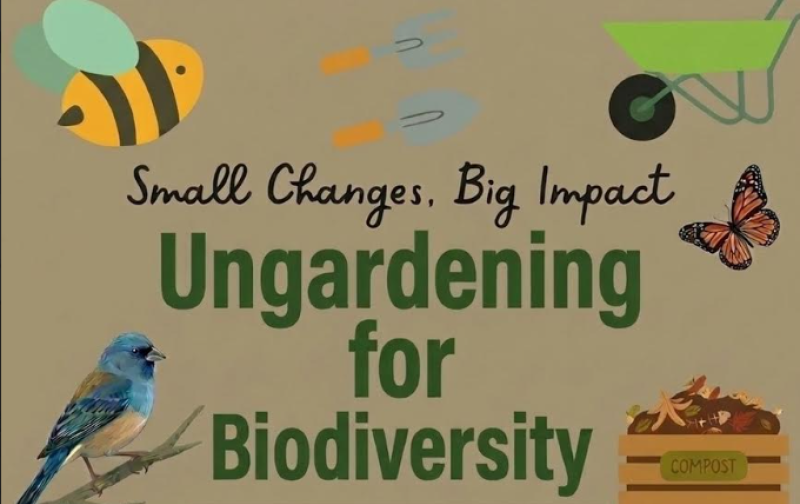 Offaly Climate and Biodiversity Action Group to hold first gardening themed presentation