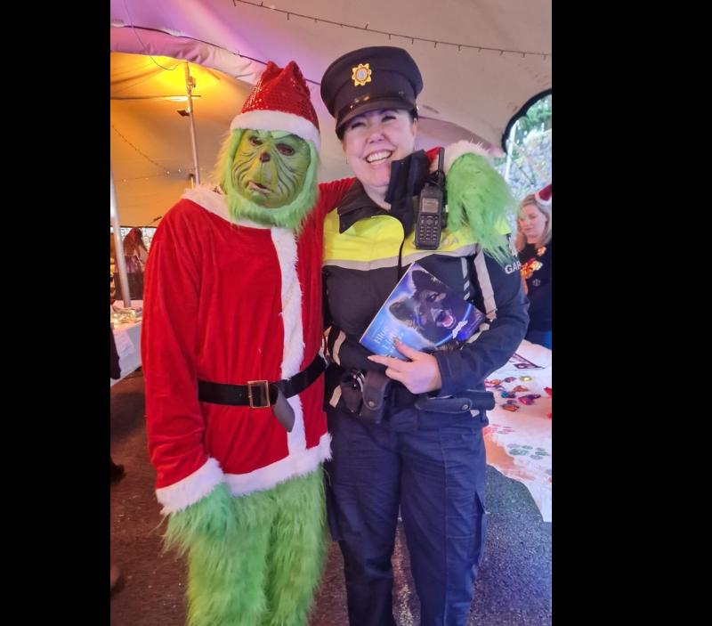 Christmas lights jim mullin