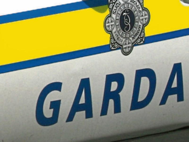 Gardai looking for four men in connection with daylight burglary in Offaly