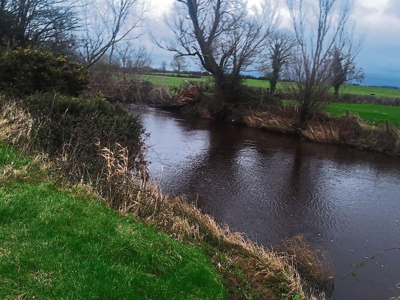 Dundalk river one of only three nationally to fail key water quality marker