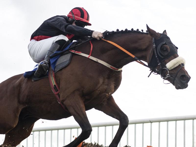 RACING TIPS - THURSDAY, DECEMBER 2: Brave Kingdom tipped for another win despite step up in class