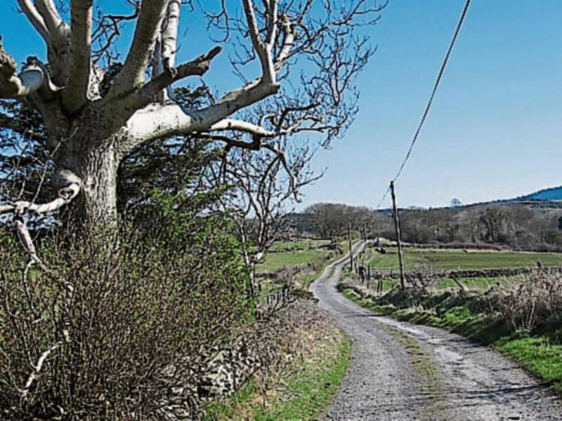 Local Improvement Scheme funding in Louth increased by €96K