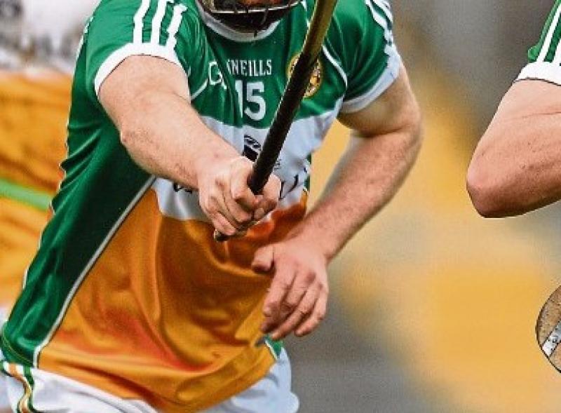 Offaly Hurling Review Committee 