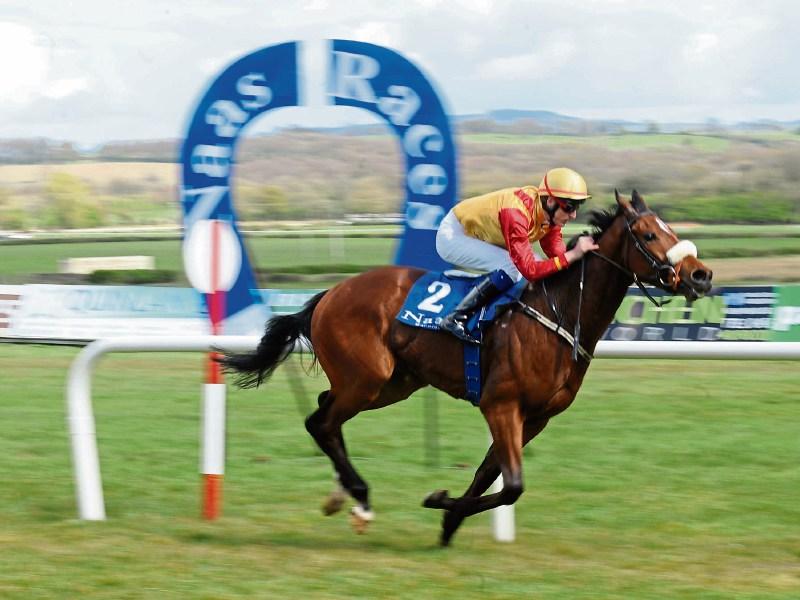 Naas GAA players forced to train at local racecourse