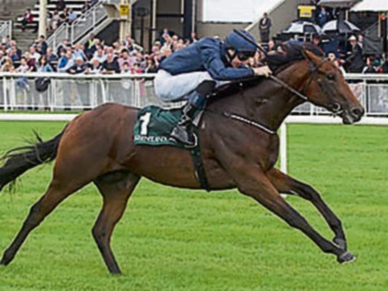 THE PUNTER'S EYE: Four horses to crown the Curragh's Irish Guineas weekend